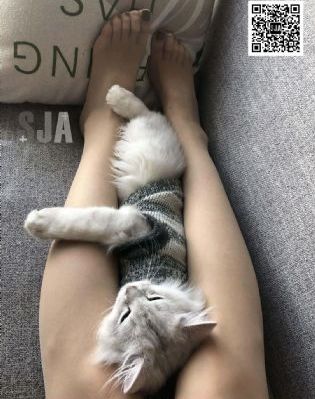 cao视频_剧情片高清在线